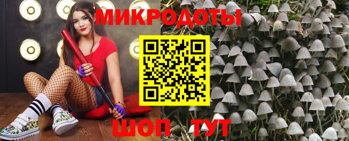 Луховицы  Псилоцибиновые грибы MAGIC MUSHROOMS  Вход с VPN  Галлюциногенные грибы мухоморы 